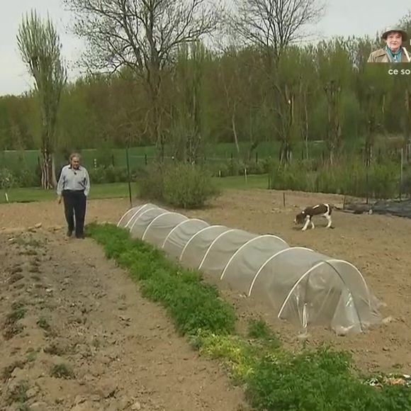 Pierre Perret dans sa maison de Nangis, en Seine-et-Marne, son havre de paix avec piscine. Les images ont été diffusés dans "Vivement dimanche" sur France 3 le 16 novembre 2025.