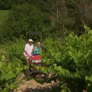 Michel Drucker dévoile des images de la maison de Mimie Mathy située à Vaison-la-Romaine dans l'émission Vivement dimanche le 9 février 2025 sur France 3.