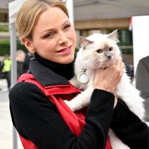 Le prince Albert II de Monaco et la princesse Charlene ont participé au " Road Safety Day ", organisée par la Fondation Princesse Charlene à Monaco, 29 mars 2026.