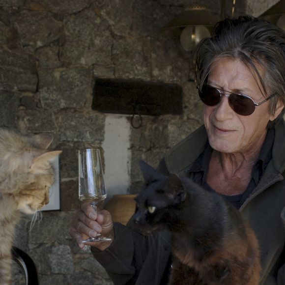 En France, Jacques Dutronc chez lui à Monticello en Corse avec ses chats. le 9 mai 2005.  
©GONGORA Marie-Anne via Bestimage
