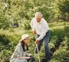 Dans les « zones bleues », elles bougent naturellement au quotidien en marchant et en jardinant.

Pexels