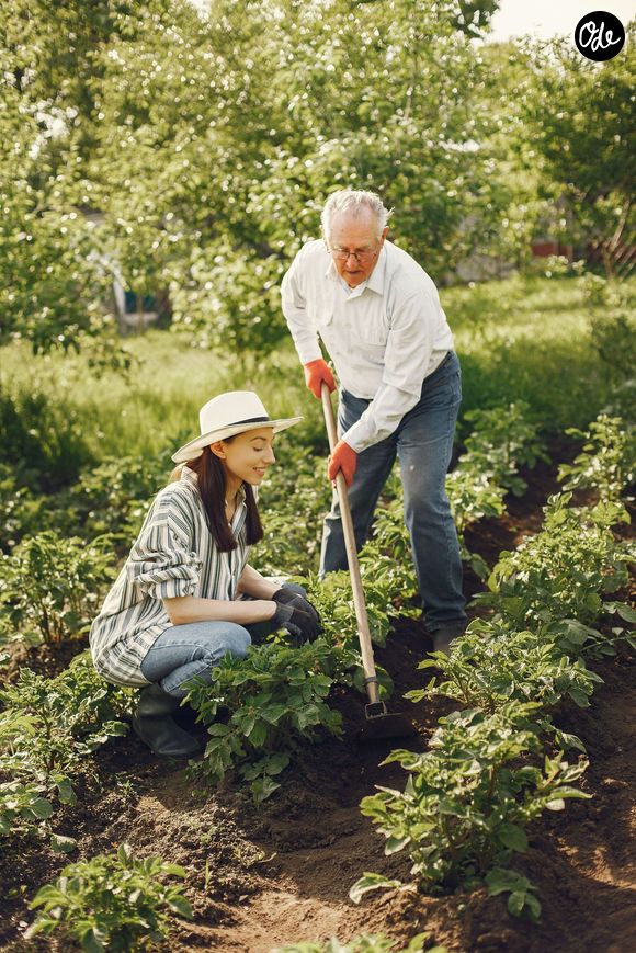 Dans les « zones bleues », elles bougent naturellement au quotidien en marchant et en jardinant.

Pexels