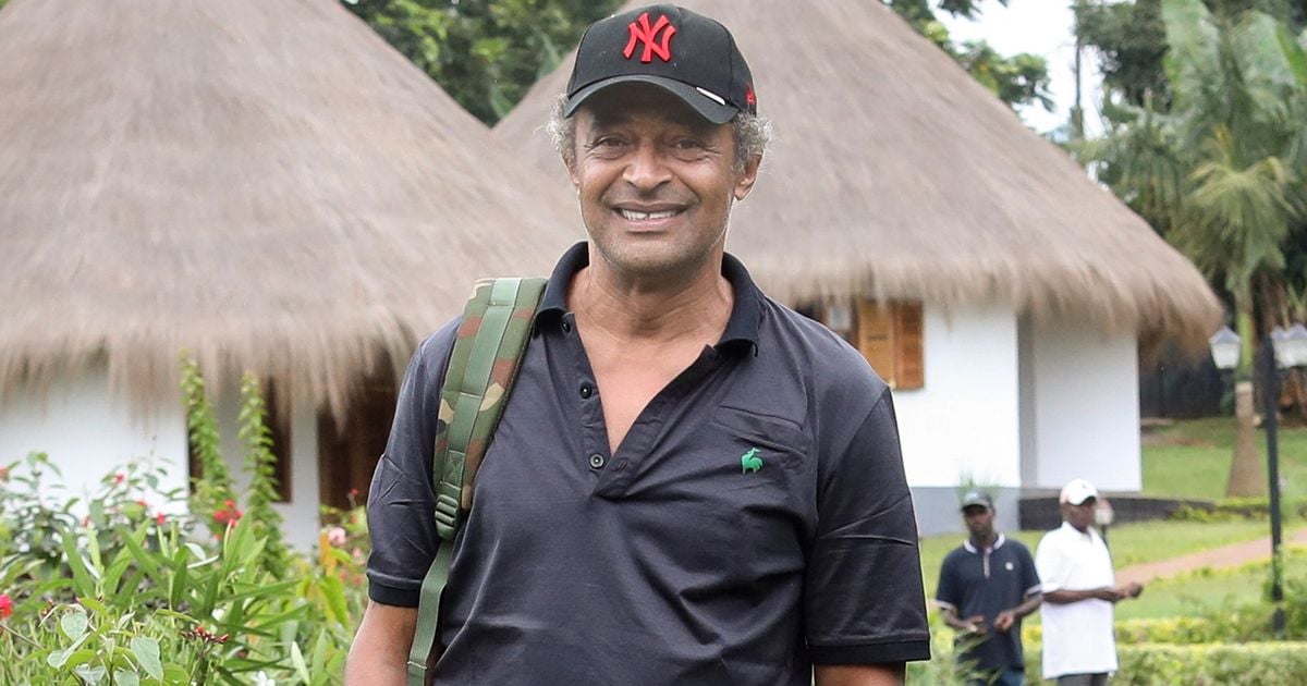 Yannick Noah, "redoutable homme d’affaires" : ses généreux et très coûteux investissements au Cameroun