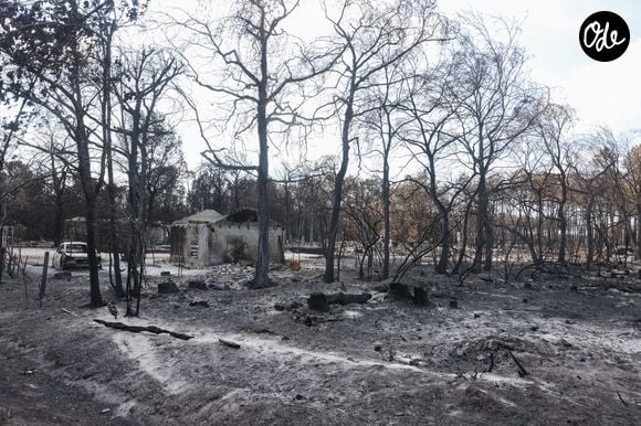 RTL précise que "tous les participants, de près ou de loin, à l'organisation de SOS Solidarité Incendies le font bénévolement".

Incendies en Gironde - Une des nombreuses maisons détruites avenue du Bassin d'Arcachon au Porge en Gironde, le 31 juillet 2026.©Jean-Marc LHOMER/Bestimage.