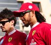 Formule 1 - Grand prix de Bahreïn 2025 - LECLERC Charles (mco), Scuderia Ferrari SF-25, portrait and HAMILTON Lewis (gbr), Scuderia Ferrari SF-25, portrait during the Formula 1 Gulf Bahrain Grand Prix 2025, 4th round of the 2025 FIA Formula One World Championship from April 11 to 13, 2025 on the Bahrain International Circuit, in Sakhir, Bahrain -