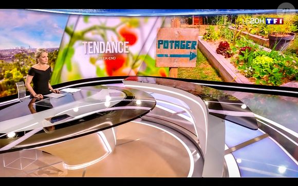 Elle a fait un retour remarqué au journal de 20h sur TF1.

Audrey Crespo-Mara a fait son retour le 25/07/2025 au JT de 20h de TF1 une semaine après les obsèques de son mari Thierry Ardisson. © Capture TV via Bestimage
