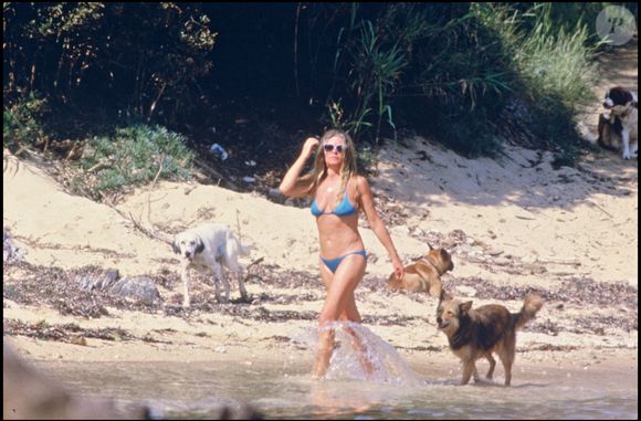 Le "Toutou’s Bar" est alimenté en eau claire par les gardiens de la propriété, témoignant d’un soin constant.

Brigitte Bardot à la Madrague.
© DANIEL ANGELI /Bestimage