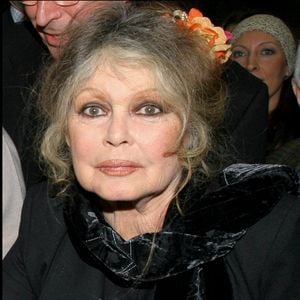 Voilà un message très clair de la part de Brigitte Bardot.

Brigitte Bardot - Noel des animaux de la S.P.A au palais des sports Marcel Cerdan.
©Guillaume Gaffiot/Bestimage