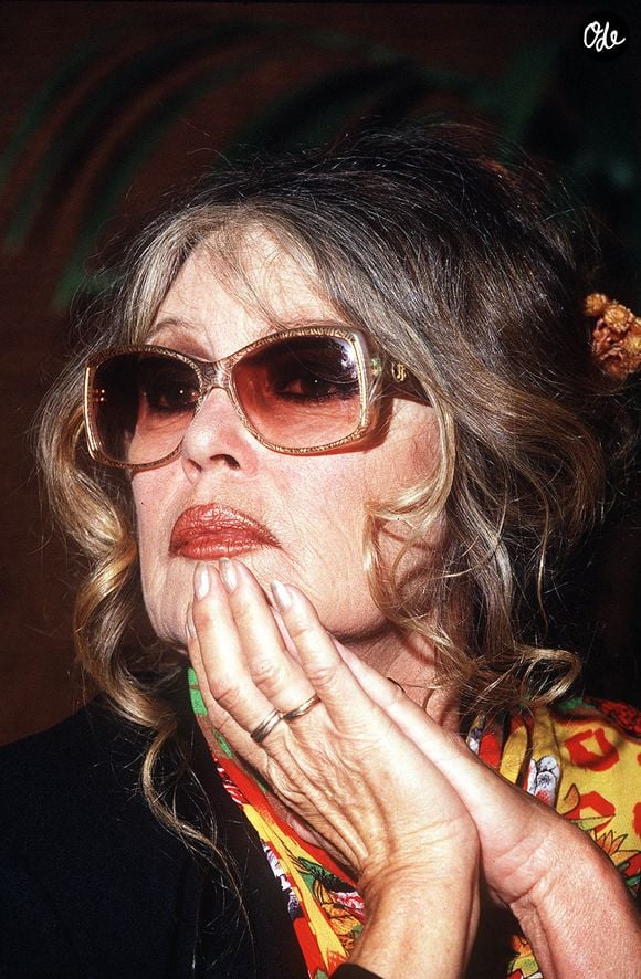 Brigitte Bardot lors d'une réunion de l'Eurogroupe pour le bien-être animal, le 30 novembre 2007. Photo : Reporters/ABACAPRESS.COM