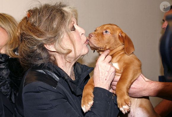 Brigitte Bardot en visite dans un centre de protection des animaux à Nice, dans le sud de la France, le 28 décembre 2005. Photo Abaca