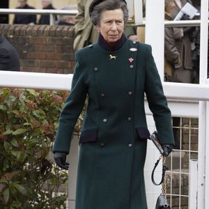 La princesse Anne au Gold Cup Day of  the Cheltenham Racing Festival 2025. © GoffPhotos/Bestimage