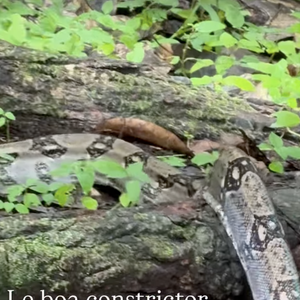 Captures d'écran du compte Instagram d'Agathe Lecaron