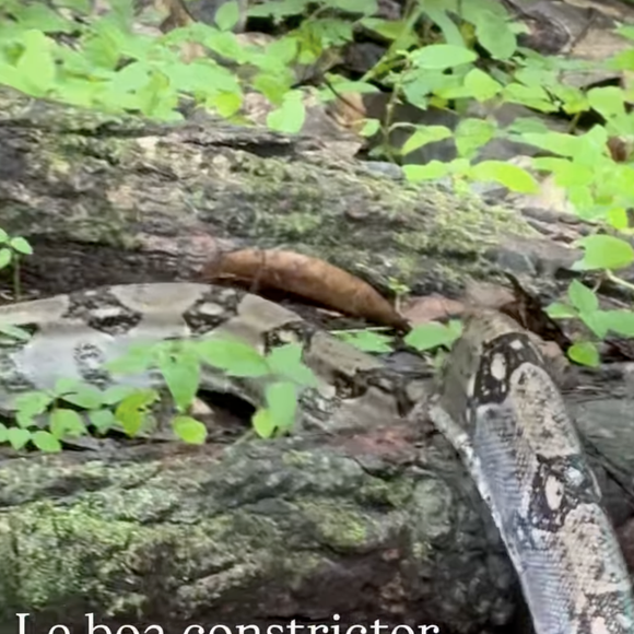 Captures d'écran du compte Instagram d'Agathe Lecaron