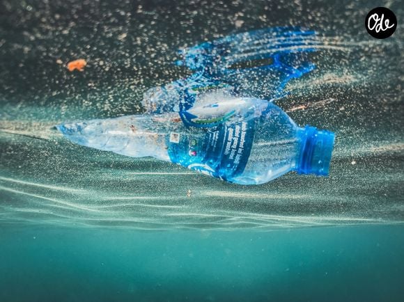 Cette démarche permet de réduire les déchets du quotidien.

Photo prise par Naja Bertolt Jensen / Unsplash