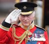 Après la disparition de la reine Elizabeth II, l'annonce des cancers de Charles III et le suicide de Thomas Kingston,
Le roi Charles III d'Angleterre - Les membres de la famille royale britannique au balcon du Palais de Buckingham lors de la parade militaire "Trooping the Colour" à Londres. © Julien Burton / Bestimage