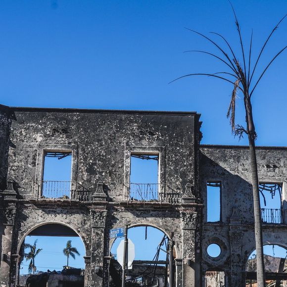 Après les incendies dévastateurs du 7 janvier 2025, les habitants d'Altadena (Calfiornie) tentent de prendre un nouveau départ, à l'instar du couple belge Nicolas Husson et Catherine De Pauw, résidant aux Etats-Unis depuis 24 ans dont 18 ans passés à Los Angeles. Le 12 janvier 2025. 
© Pieter-Jan Vanstockstraeten / Bestimage