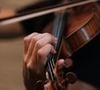 Bien qu'intact en apparence, le violon a perdu sa voix. Le choc a altéré son équilibre interne, rendant sa sonorité inhabituelle.