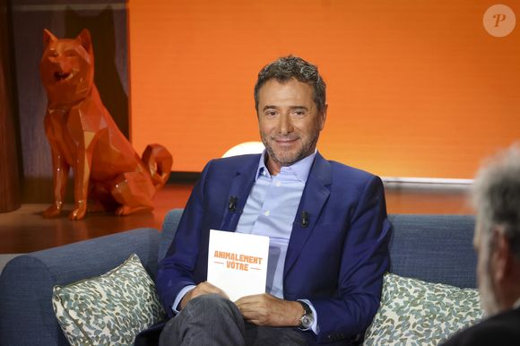 Reportages, conseils, histoires touchantes : le programme mise sur l’émotion et l’engagement.

Exclusif - Bernard Montiel, sur plateau de la nouvelle émission "Animalement Vôtre" présentée par Bernard Montiel et diffusée le 9 novembre sur France 3, à Paris, France, le 13 octobre 2025. © Jack Tribeca/Bestimage