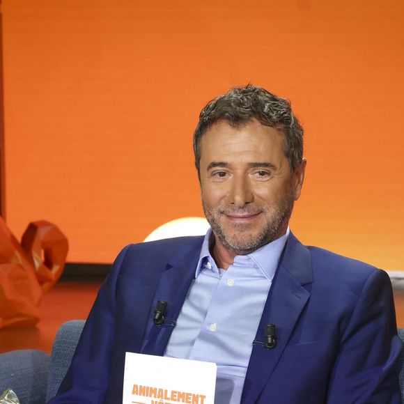Reportages, conseils, histoires touchantes : le programme mise sur l’émotion et l’engagement.

Exclusif - Bernard Montiel, sur plateau de la nouvelle émission "Animalement Vôtre" présentée par Bernard Montiel et diffusée le 9 novembre sur France 3, à Paris, France, le 13 octobre 2025. © Jack Tribeca/Bestimage