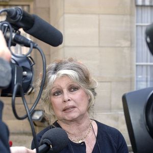 L'ancienne actrice Brigitte Bardot rencontre le ministre de l'Agriculture et de la Pêche Dominique Bussereau à Paris, le 11 mai 2006. Photo by Giancarlo Gorassini/ABACAPRESS.COM