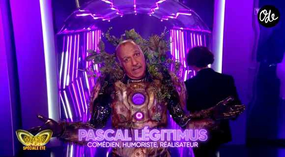 C'est pascal Légitimus qui se cachait derrière ce costume !

Le Cyborg dans mask Singer 9 était Pascal Légitimus - capture d'écran TF1