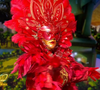 En concurrence avec la vénitienne 

La vénitienne dans Mask Singer 9, prime du 22 mai - capture d'écran TF1