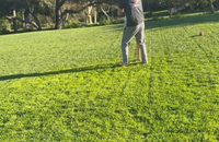 Le prince Harry et Meghan Markle dansant dans leur jardin.