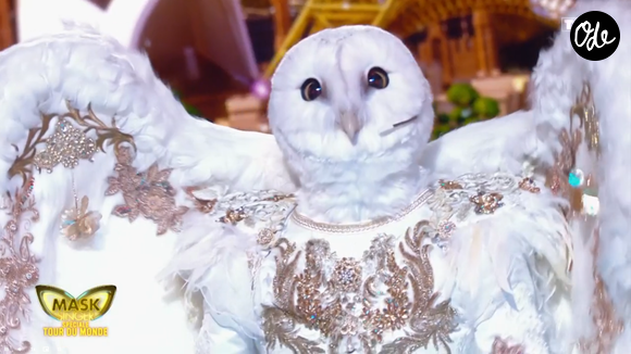 Et pour la Chouette

La chouette dans Mask Singer 9, prime du 22 mai - capture d'écran TF1
