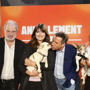 Exclusif - Raphaël Mezrahi, Valérie Perrin, Bernard Montiel, Oli et son chien Monday sur plateau de l'émission "Animalement Vôtre" présentée par B.Montiel et diffusée le 22 mars 2026 sur France 3, à Paris, France, le 2 décembre 2025. © Jack Tribeca/Bestimage