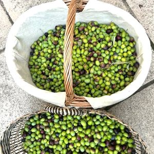 Ce coin de Provence - réputé pour sa douceur de vivre - semble lui avoir permis de retrouver un bel équilibre. En véritable épicurienne, Hélène de Fougerolles s’est naturellement intéressée aux produits du terroir... On vous laisse admirer !

Hélène de Fougerolles  immortalise l'une de ses cueillettes d'olives dans le Luberon sur Instagram (Capture d'écran Instagram - helenedefougerolles).
