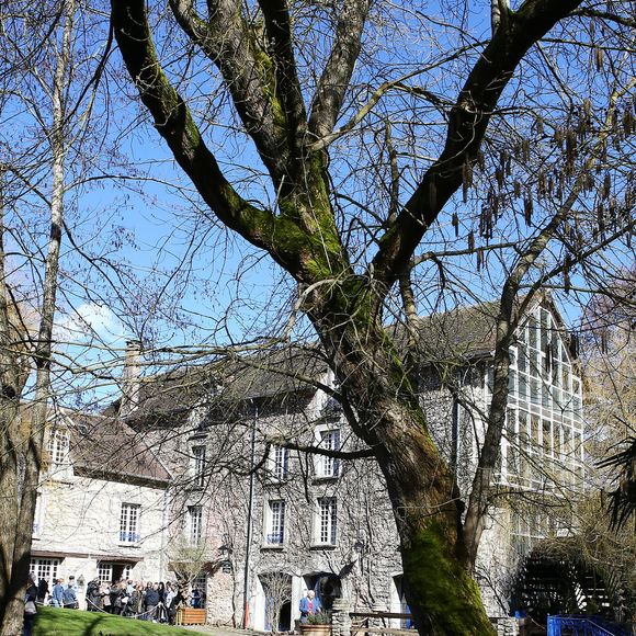 Rassemblement pour les 40 ans de la mort de Claude François à l'église de Dannemois et au cimetière puis visite du moulin ou il habitait le 11 mars 2018. Agence/Bestimage