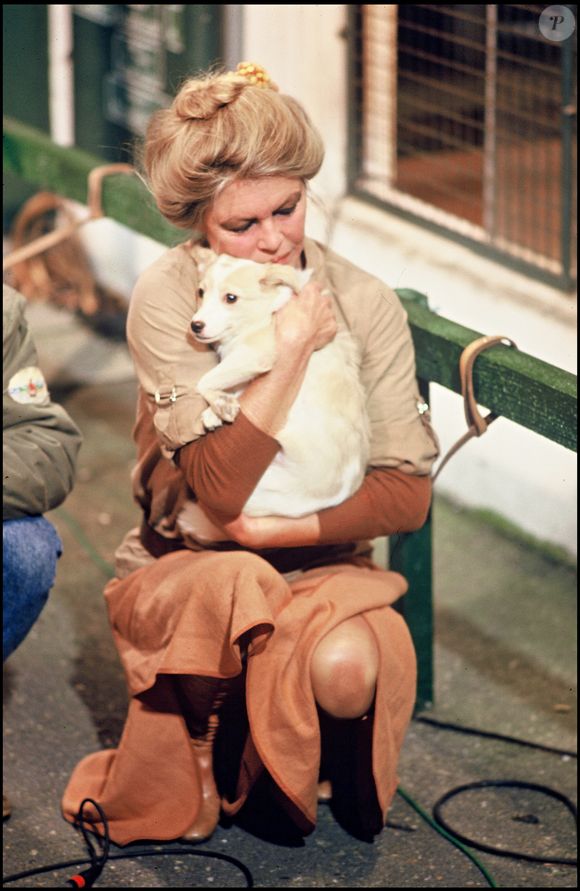 Cette initiative reflète l’engagement profond de Bardot pour la protection et le bien-être des animaux, qu’elle soutient depuis des années à travers sa fondation reconnue d’utilité publique.

archives - Brigitte Bardot visite un local de la spa
© Frederic Herve / Bestimage