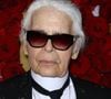 "Karl Lagerfeld aurait peut-être pu laisser une fortune de 200 millions d’euros, s’il n’avait pas été aussi généreux !", a t-il assuré. "La succession ne comporte pas de valeurs importantes en banque". La star possédait d'innombrables biens immobiliers dont certains ont été adjugés aux enchères...


Karl Lagerfeld à la soirée WWD Honors à New York le 24 octobre 2017.