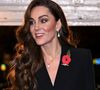 Grâce à ses engagements, elle s'implique et donne de sa personne comme récemment lors de sa visite dans une prison pour femmes munie d'une unité pour les jeunes mamans et leurs enfants

Catherine Kate Middleton, princesse de Galles - La famille royale du Royaume Uni assiste au Festival du souvenir  (Festival of Remembrance) au Royal Albert Hall, Londres le 9 novembre 2024.

© Chris Ratcliffe / Pool / Julien Burton via Bestimage
