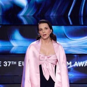 A savoir Vaucresson

Juliette Binoche - La 37ème cérémonie des "European Film Awards" à Lucerne , le 7 décembre 2024.