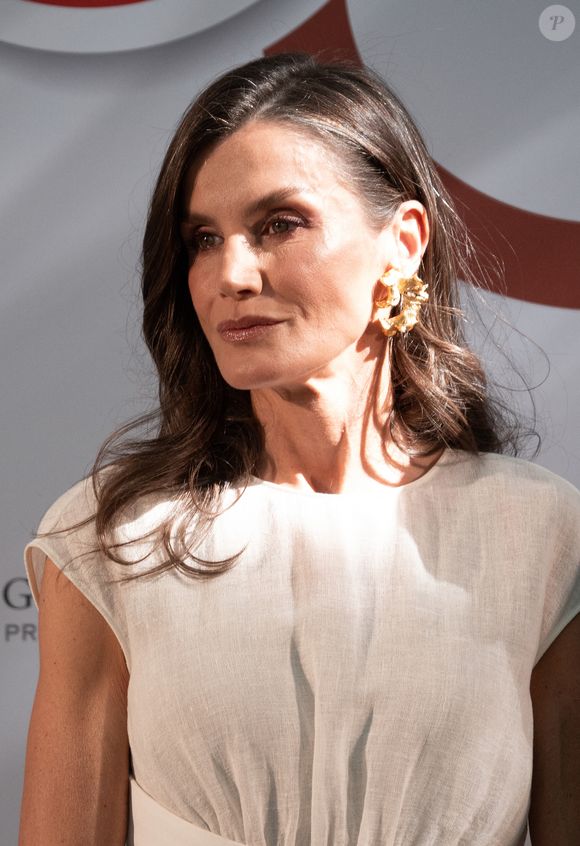 La reine Letizia d'Espagne lors du 150ème anniversaire de l'établissement des premières relations diplomatiques entre l'Espagne et Monaco au Jardin botanique royal à Madrid le 1er juin 2026. LALO YASKY / BESTIMAGE