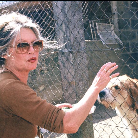 Archives - Brigitte Bardot visite un local de la SPA. (Frederic Herve / Bestimage).