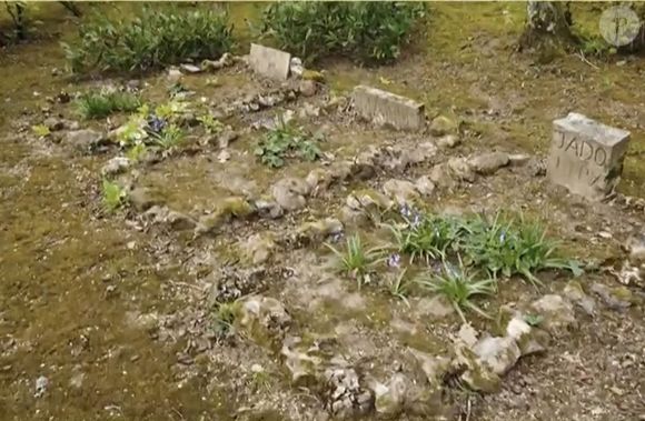 Exclusif - Extrait d'un entretien entre Cyril Viguier et Alain Delon dans lequel l'acteur fait part de son souhait d'être enterré avec ses chien à Douchy à côté de la chapelle.
Le 1er juin 2021. Agence / Bestimage