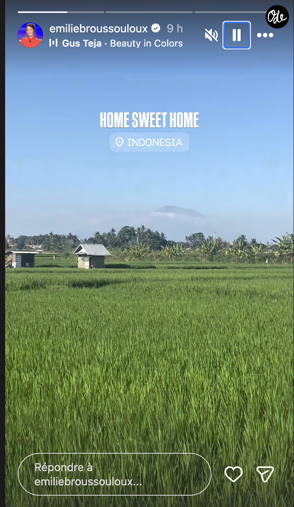 Elle a partagé des images paradisiaques de ses vacances. Affirmant être de retour à la maison avec un éloquent "Home sweet home" posté devant de luxuriantes rizières, Émilie s'est affichée radieuse

Emilie Broussouloux en voyage en Indonésie