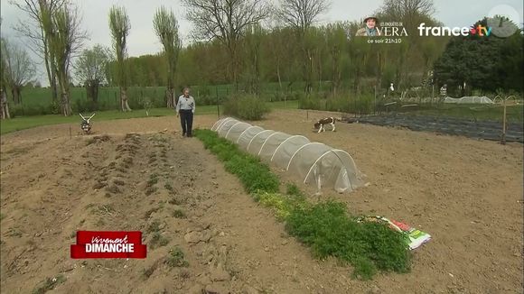 Pierre Perret dans sa maison de Nangis, en Seine-et-Marne, son havre de paix avec piscine. Les images ont été diffusés dans "Vivement dimanche" sur France 3 le 16 novembre 2025.