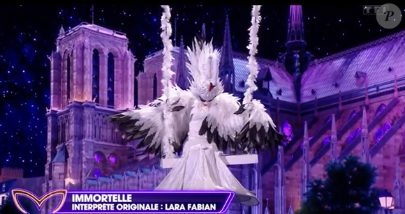 Une première salve de candidats s'est présentée sur scène sur les 19 en lice, dont le Cygne. 

Le Cygne dans "Mask Singer" sur TF1