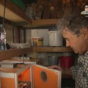 Pierre Perret dans sa maison de Nangis, en Seine-et-Marne, son havre de paix avec piscine. Les images ont été diffusés dans "Vivement dimanche" sur France 3 le 16 novembre 2025.