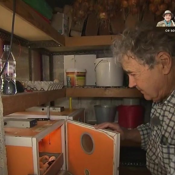 Pierre Perret dans sa maison de Nangis, en Seine-et-Marne, son havre de paix avec piscine. Les images ont été diffusés dans "Vivement dimanche" sur France 3 le 16 novembre 2025.