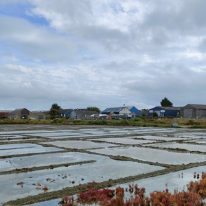 Illustration de l'île de Batz
Crédit : Instagram