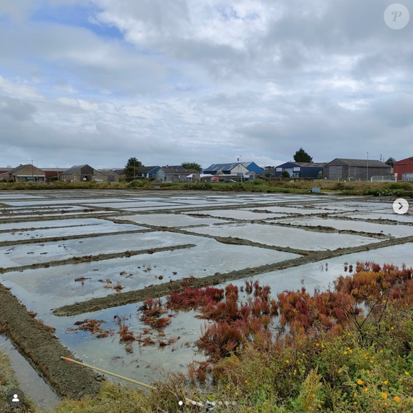 Illustration de l'île de Batz 
Crédit : Instagram