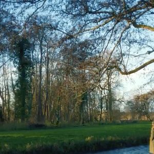 La vidéo illustre le lien entre l’humanité et la nature, avec des images de Kate Middleton se promenant dans le Berkshire et des messages sur le calme et la sérénité.

Le palais de Kensington a publié le dernier épisode de sa série de vidéos " Mère Nature ", diffusée tout au long de l'année : " Hiver " à l'occasion des 44 ans de Catherine (Kate) Middleton, princesse de Galles - 9 janvier 2026
Kensington Palace via Bestimage