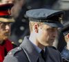 Une arme à feu a été retrouvée près du corps de Rosie, mais il ne s'agirait pas d'un meurtre.

Le prince Andrew, le prince William et le prince Harry lors du "Remembrance sunday" à Londres le 13 novembre 2016.

Photo : Agence / Bestimage