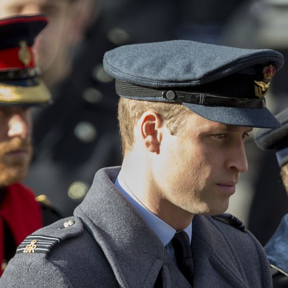 Une arme à feu a été retrouvée près du corps de Rosie, mais il ne s'agirait pas d'un meurtre.

Le prince Andrew, le prince William et le prince Harry lors du "Remembrance sunday" à Londres le 13 novembre 2016.

Photo : Agence / Bestimage