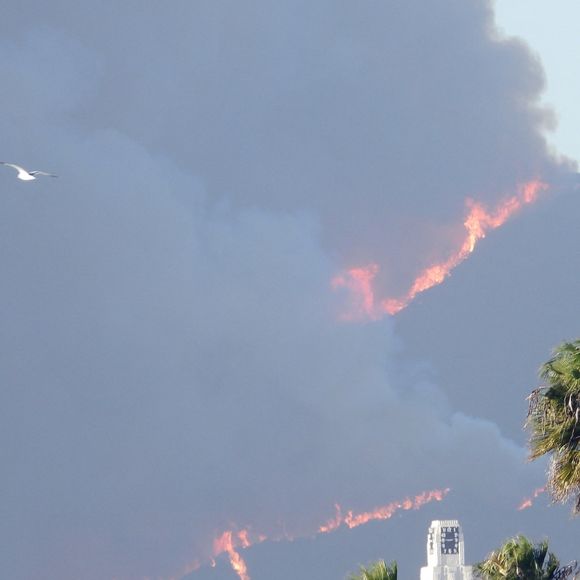 Los Angeles, CA  - Fire rages through the multi-million dollar homes in the celeb-packed Pacific Palisades area of Los Angeles. This is the view of the inferno from Venice Beach. Planes could be seen dumping extinguisher on the flames. Smoke completely covers the skyline. Celebs with homes in the Palisades include Tom Hanks, Adam Sandler, Larry David, Steven Spielberg, Matt Damon, Ben Affleck and Arnold Schwarzenegger.



Pictured: Wildfire