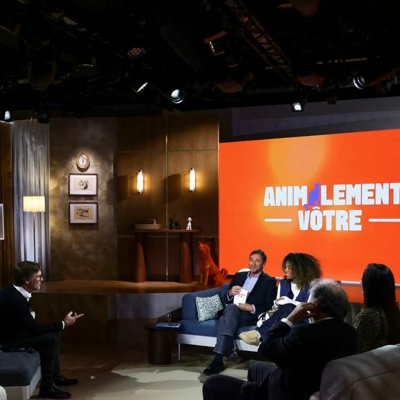 Exclusif - Laurent Romejko, sur plateau de la nouvelle émission "Animalement Vôtre" présentée par Bernard Montiel et diffusée le 16 novembre sur France 3, à Paris, France, le 14 octobre 2025. © Jack Tribeca/Bestimage